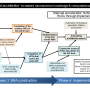 external_accelerator_increased_neuroscience_knowledge_computational_resources.png