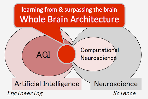 Whole Brain Architecture